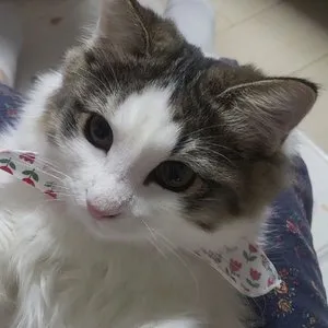 베스트 후기 이미지