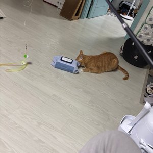 베스트 후기 이미지