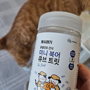 베스트 후기 이미지
