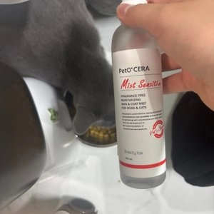 브리지테일 페토세라 센서티브 무향 미스트 150ml 베스트 후기 이미지