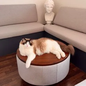 베스트 후기 이미지