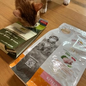 알모네이쳐 캣 HFC 닭고기 키튼 1.2kg 베스트 후기 이미지