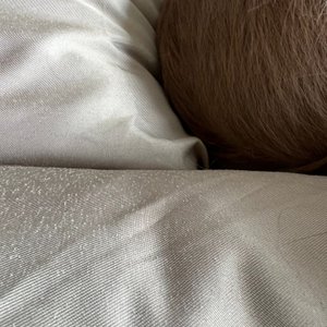 베스트 후기 이미지