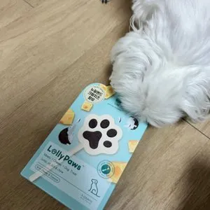 베스트 후기 이미지