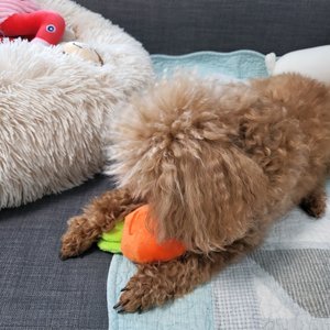 베스트 후기 이미지