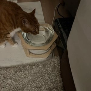 [무료배송] 힐링타임 원목 수반 소형-대형 베스트 후기 이미지