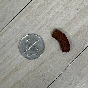 [창고대방출] 맥아담스 독 방목 홀치킨 중형견 치킨&연어 5kg 베스트 후기 이미지