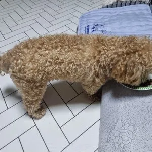 베스트 후기 이미지