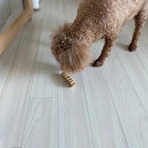 베스트 후기 이미지