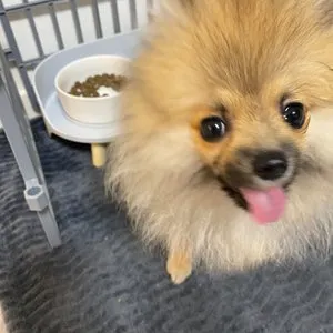 베스트 후기 이미지