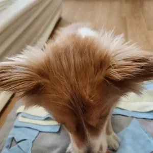 베스트 후기 이미지