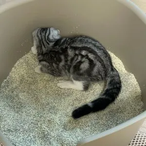 베스트 후기 이미지