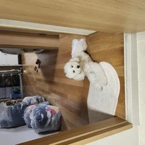 베스트 후기 이미지