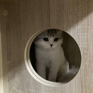 베스트 후기 이미지