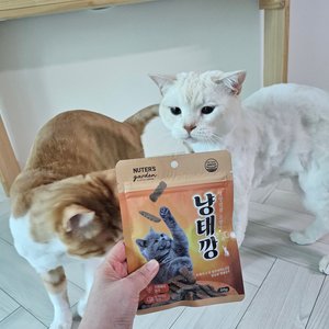 베스트 후기 이미지