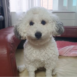 베스트 후기 이미지