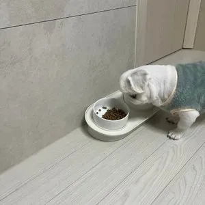 베스트 후기 이미지