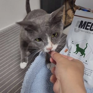 메가파이브 for cat 사슴고기&캣그라스 50g 베스트 후기 이미지