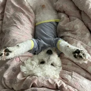 베스트 후기 이미지