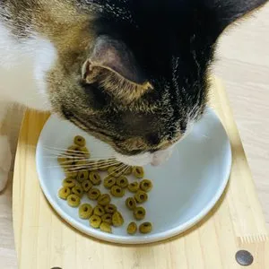 베스트 후기 이미지