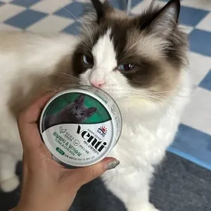 베스트 후기 이미지