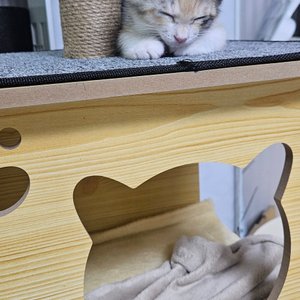 베스트 후기 이미지