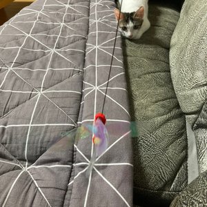 베스트 후기 이미지