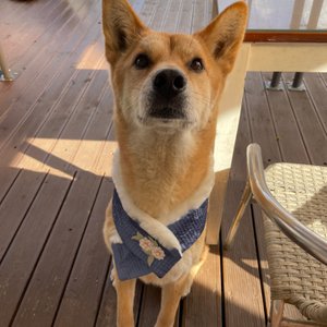 베스트 후기 이미지