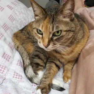 베스트 후기 이미지