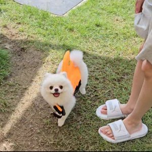 베스트 후기 이미지