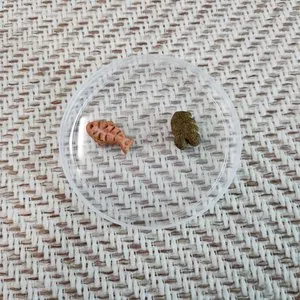 베스트 후기 이미지