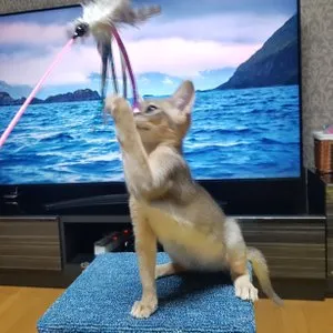 베스트 후기 이미지