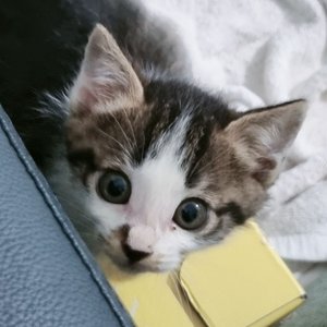 베스트 후기 이미지