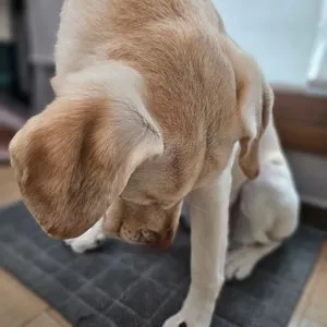 베스트 후기 이미지