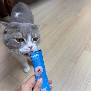 베스트 후기 이미지