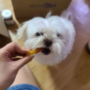 슈퍼츄 독 일킬로그램 가득 담은 닭가슴살고구마 1kg 베스트 후기 이미지