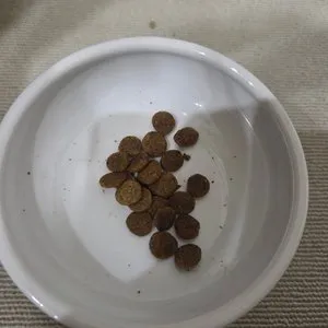 베스트 후기 이미지