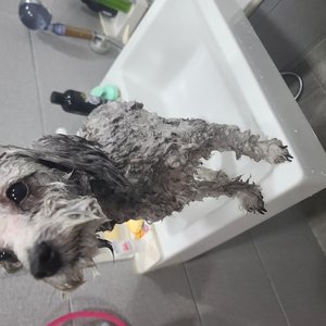 베스트 후기 이미지