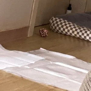 베스트 후기 이미지