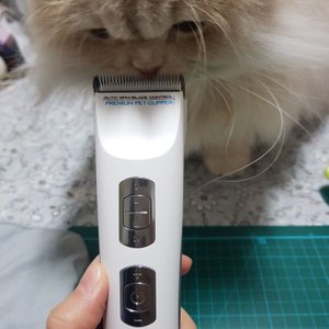 베스트 후기 이미지