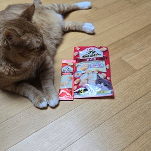 베스트 후기 이미지