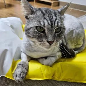 베스트 후기 이미지