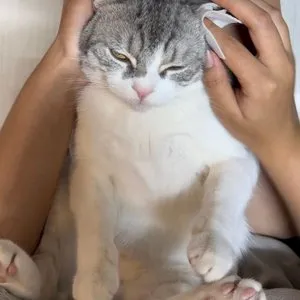 베스트 후기 이미지