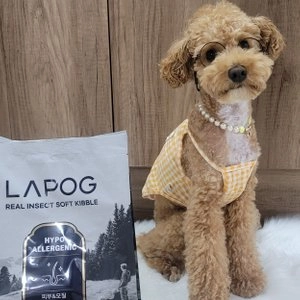 라포그 독 리얼인섹트 소프트키블 스킨 1kg 베스트 후기 이미지