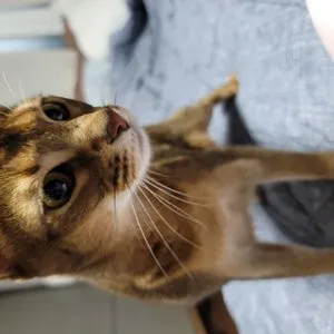 베스트 후기 이미지