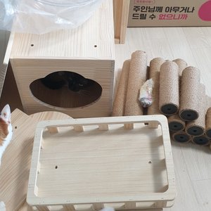 베스트 후기 이미지
