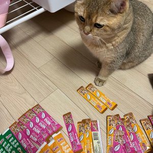 베스트 후기 이미지