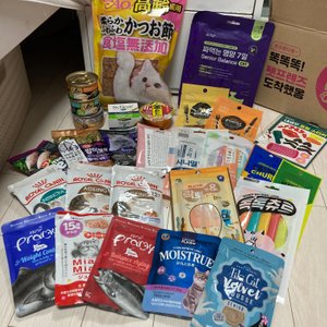 베스트 후기 이미지
