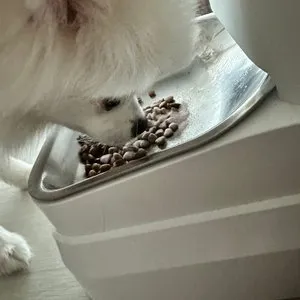 베스트 후기 이미지