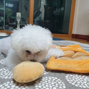 베스트 후기 이미지